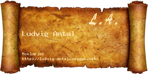 Ludvig Antal névjegykártya